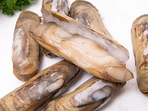 东莞石龙海鲜配送 蔬菜肉类配送 卫生