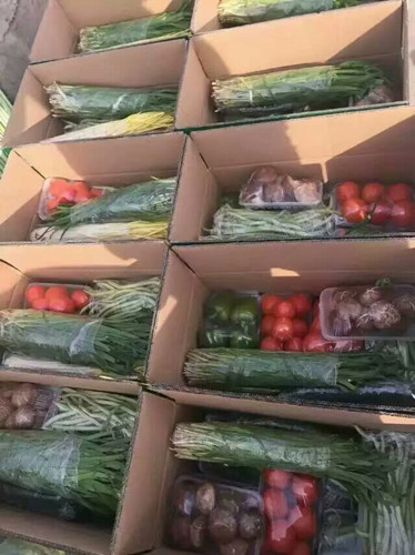 蔬果配送郑州市蔬菜礼盒经销义马市蔬菜集装箱销售水果蔬菜礼盒团购