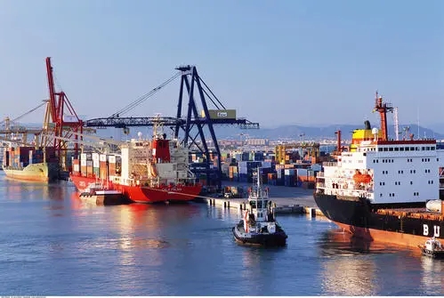 上海港到内卢集装箱订舱海运整箱货运代理公司Rijeka
