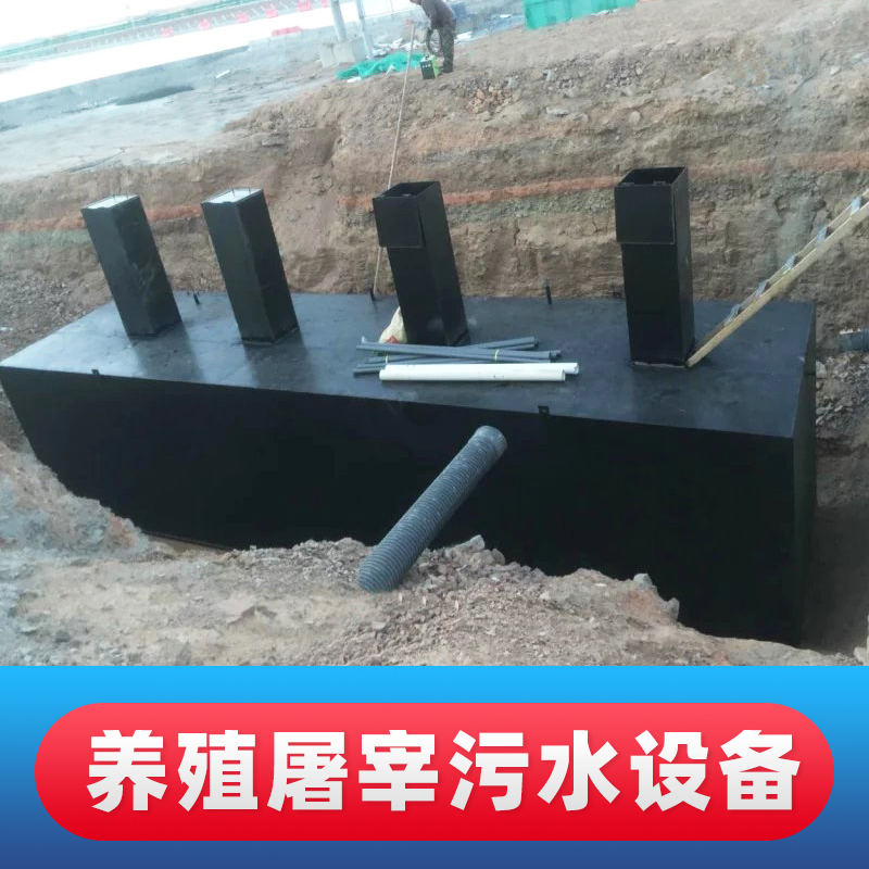 wsz地埋式一体化污水处理设备 南京一体化地埋式废水处理设备厂家