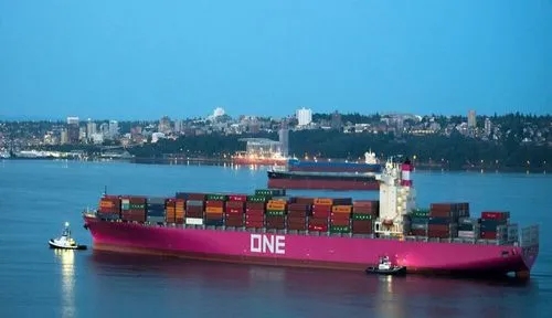 海运整箱上海到埃及整箱国际运输货运代理Safaga