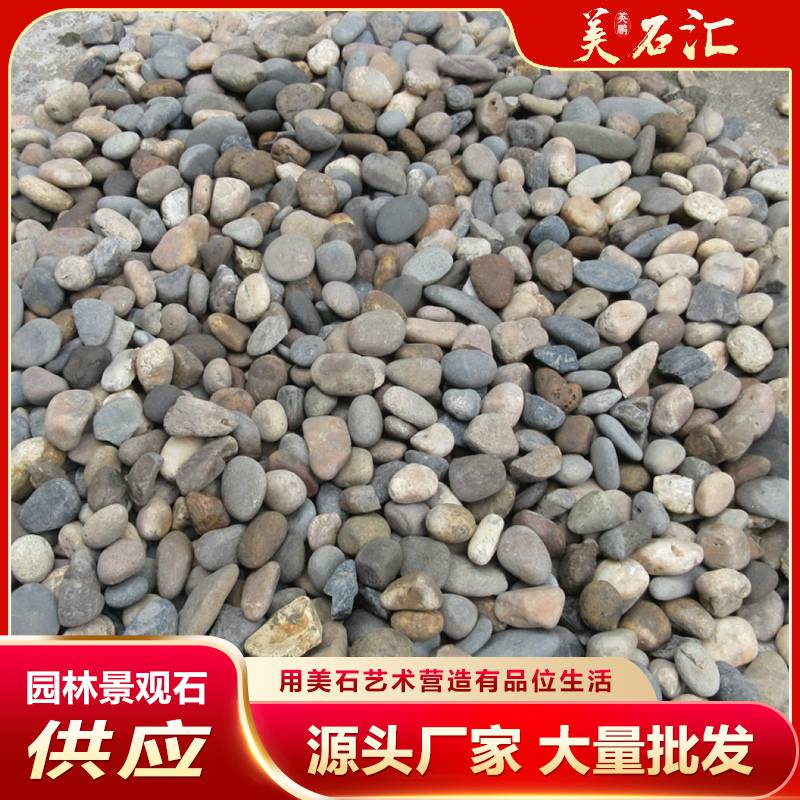 广西鹅卵石厂家销售 东莞深圳河岸石人工湖池塘垫层杂色鹅卵石