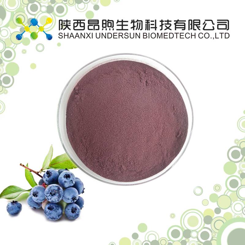 水溶性 蓝莓果粉99% 昂煦生物供应