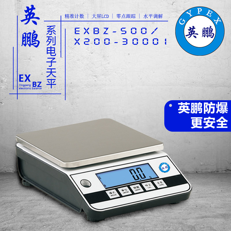 EXBZ-500/X200-30001