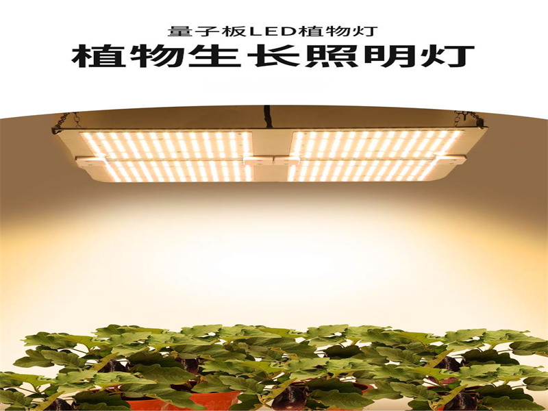 乐亿迪定制植物生长LED灯植物补光灯大棚LED灯