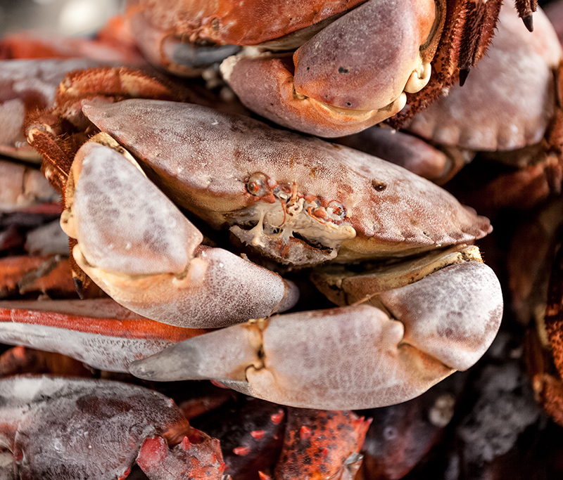 砀山幕天冷链海鲜产品，螃蟹，带鱼等海鲜产品