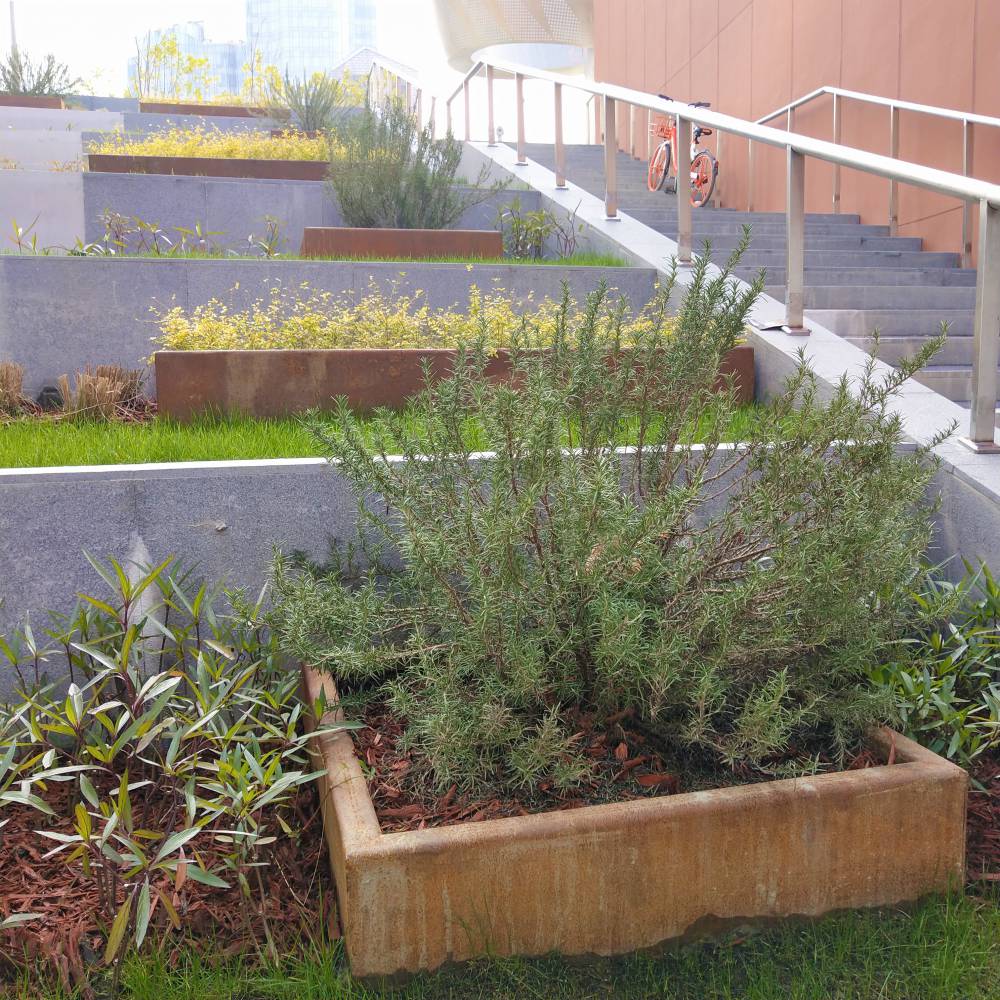红锈钢板观景园种植池定制加工安装耐候钢种植池制作安装加工热轧板