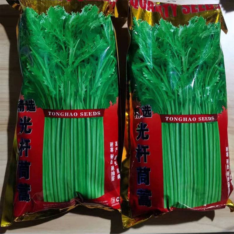 盛一奇光杆茼蒿种子 叶菜 四季栽培 小叶匙形 提纯品种