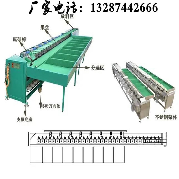 6.海蛎子分拣机机械代替人工