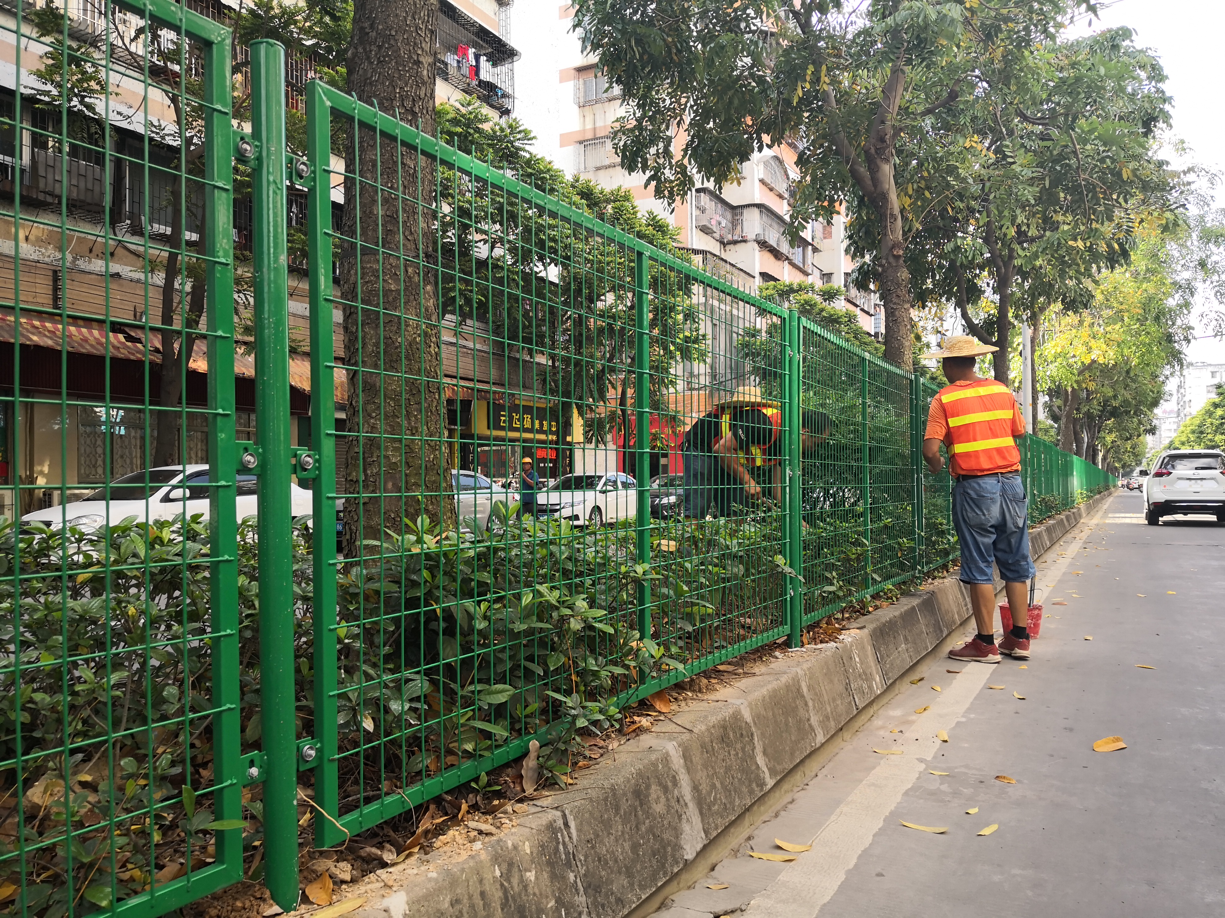 东莞道路绿化带隔离围栏定做 深圳围栏厂家