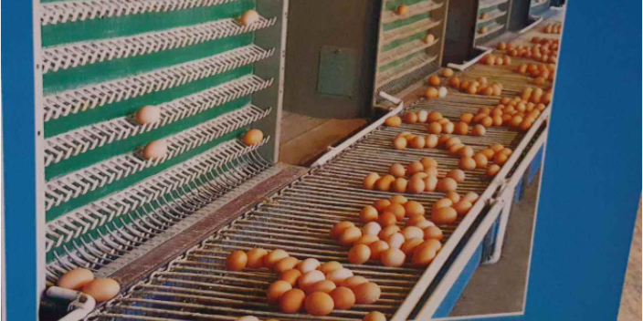 平顶山自动化养鸡设备公司 西平牧丰农牧设备供应