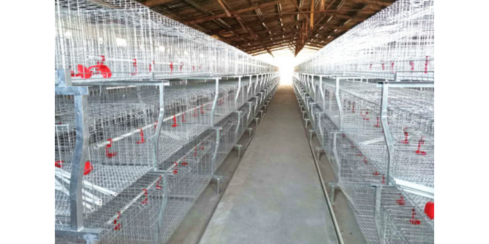 贵州自动养鸡设备安装 西平牧丰农牧设备供应