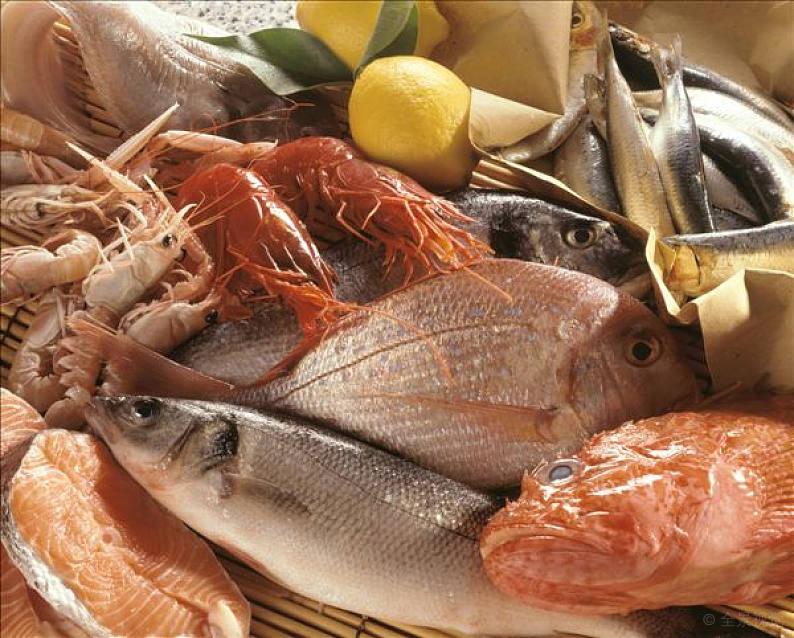 斯里兰卡海鲜冻鱼进口清关代理公司及清关单证