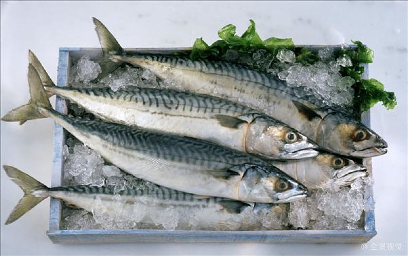 日本海鲜水产品进口清关咨询及代理清关公司