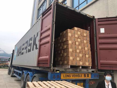 漳州到越南物流公司专线派送到门