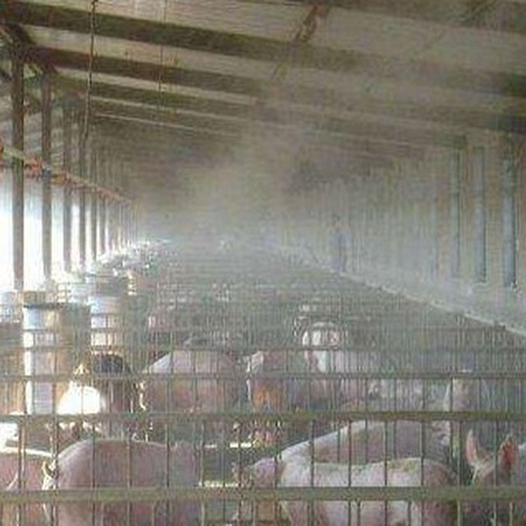 汕头奶牛养殖场车辆消毒设备参数