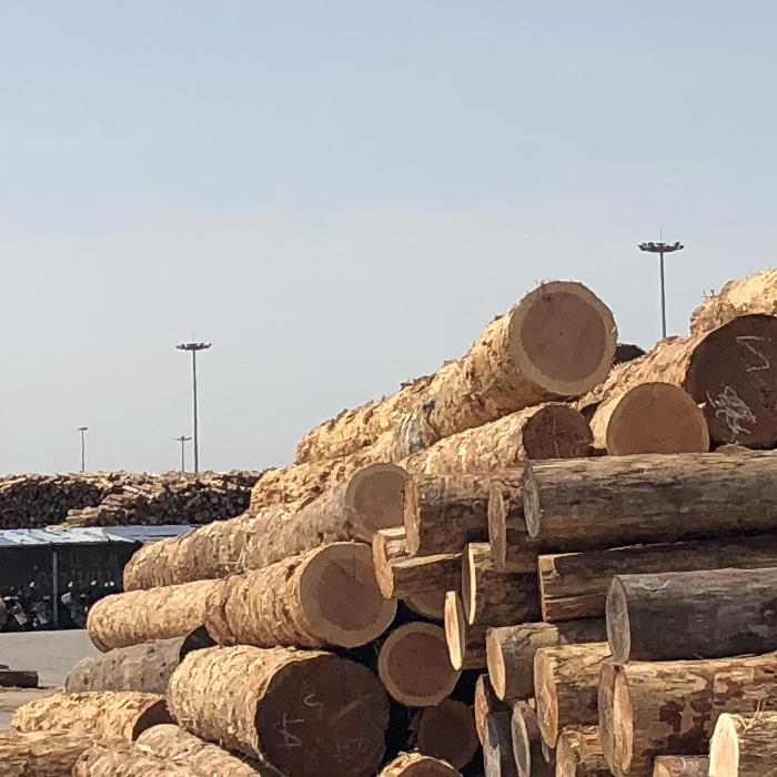 木板材 兴化市杉木建筑木方 全国设厂