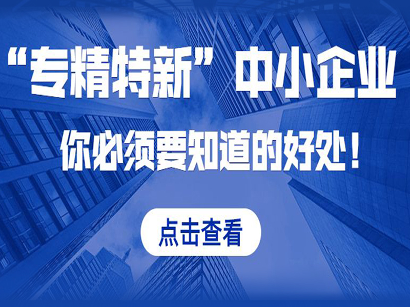 广东中山市专精特新奖励政策 服务机构