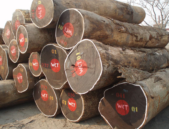木材板材进口清关手续 木材进口需注意什么