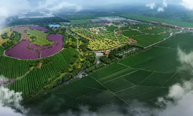 河北石家莊農業工程設計公司 林業工程設計公司 成立分公司 單項目合作