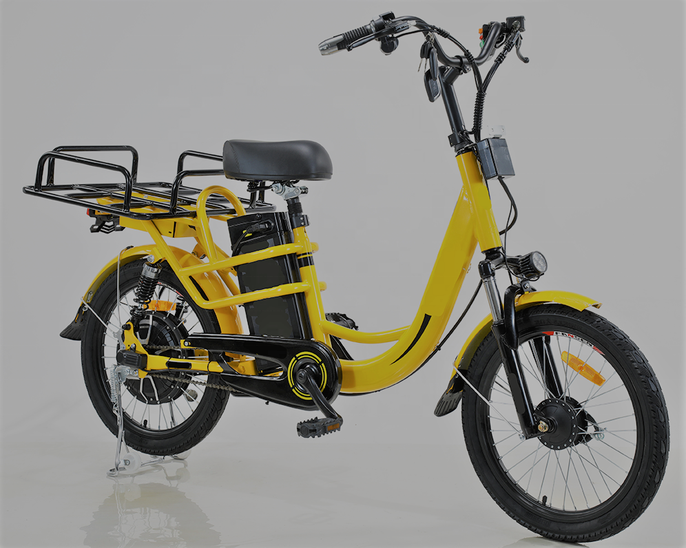 揭阳供应电动自行车出口海运美国ddu,电动自行车电池出口