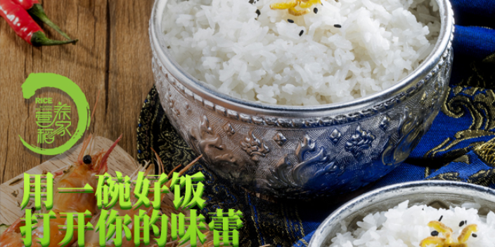 上海**绿色营养稻家五常**米 诚信为本 营养稻家供应