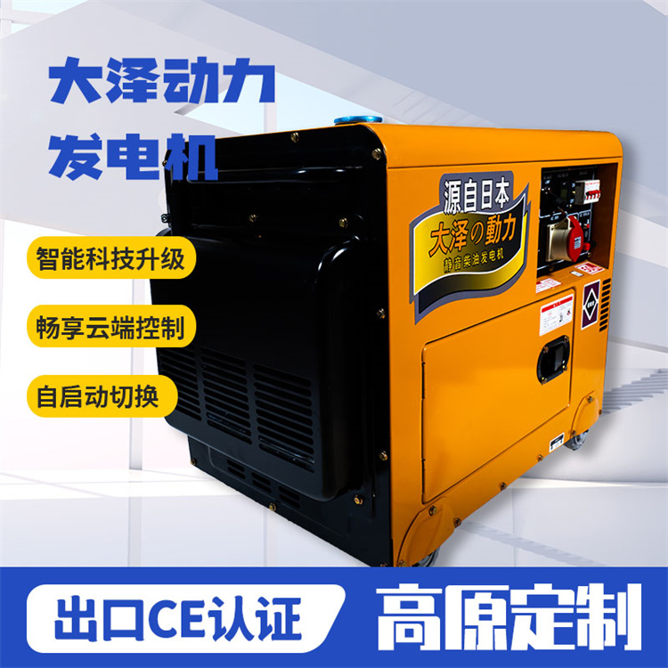 内燃应急3kw小型柴油发电机大泽动力