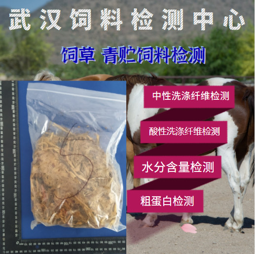 苏州鸡饲料蛋氨酸 江苏广分技术有限公司
