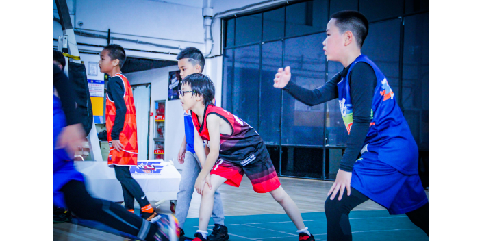 上城区一对一篮球培训产品介绍 服务至上 杭州赛喜多体育供应