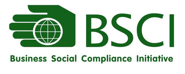 湛江鞋厂BSCI认证周期 Business Social Compliance Initiative 社会责任认证