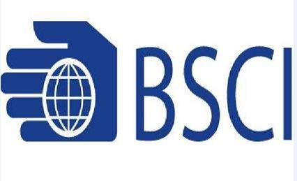 漳州包包厂BSCI认证周期 Business Social Compliance Initiative 社会责任认证