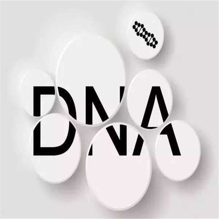 DNA检测 肇庆血缘鉴定中心 办理流程简单