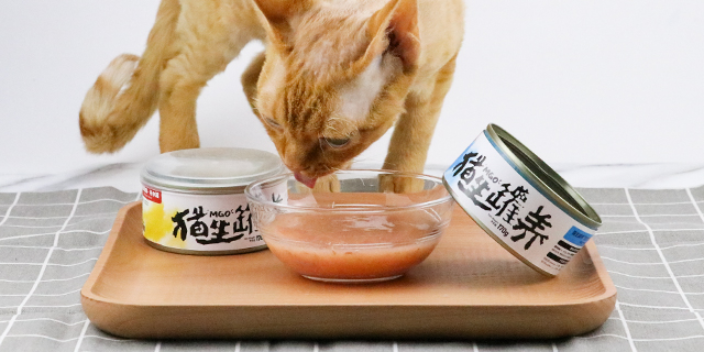 杭州成年猫猫粮经销 猫生罐养猫罐头供应
