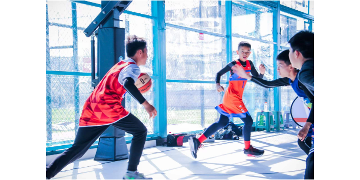 杭州专业篮球培训 值得信赖 杭州赛喜多体育供应