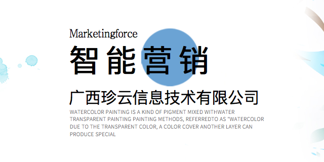 桂林哪里有网络营销排名 诚信经营 广西珍云信息供应