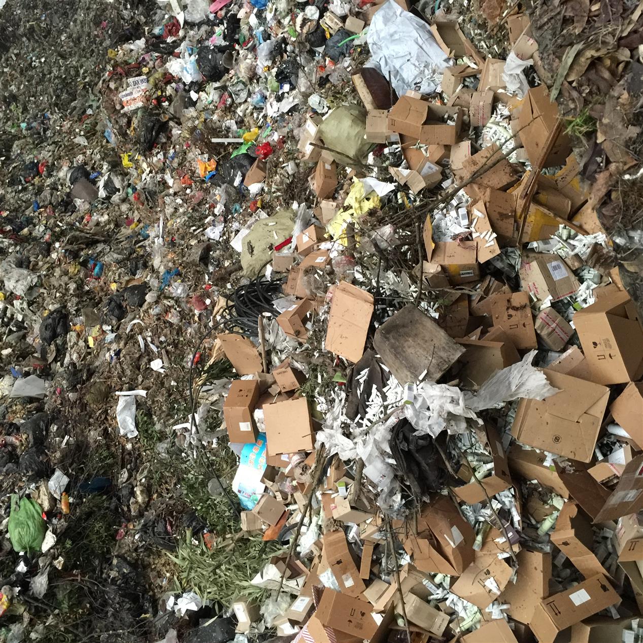 杭州分拣处理垃圾清运厂 处置
