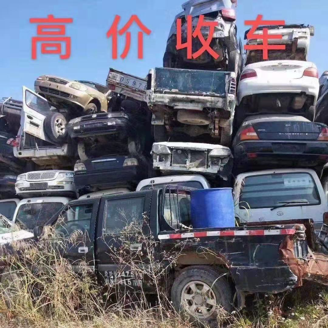 四会车辆报废回收 广州国赢科技有限公司