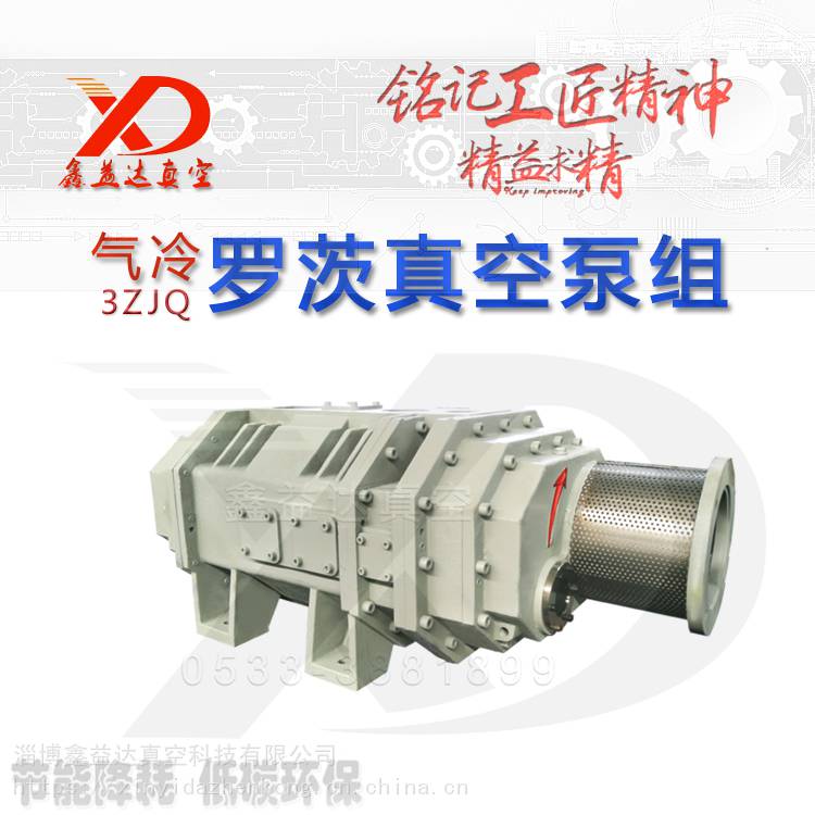 防腐MVR蒸汽压缩机 进口轴承罗茨真空泵 不锈钢罗茨泵供应生产商