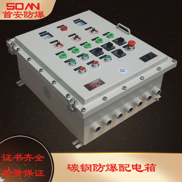 首安不锈钢 碳钢 铸铝 防爆配电箱 接线箱 配电柜 厂家定做