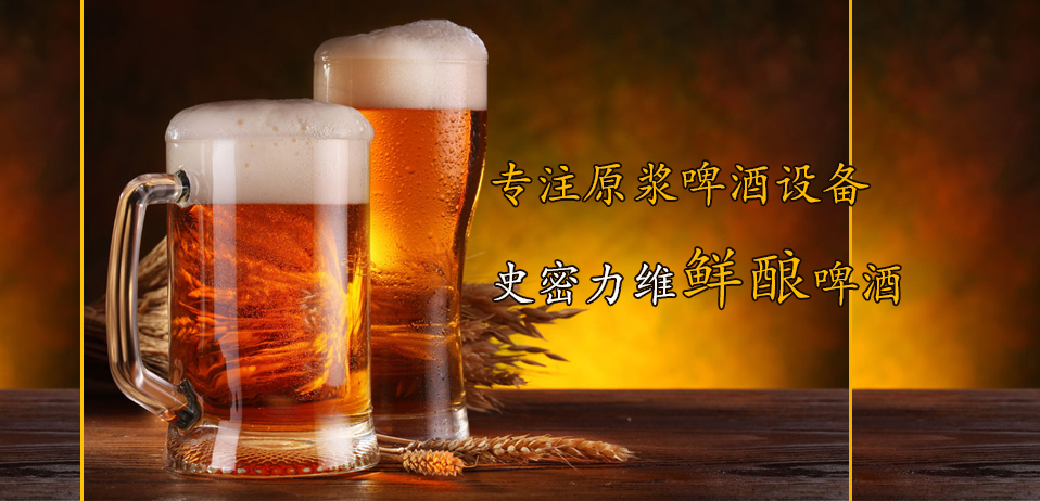 湖南湘潭500升精酿啤酒设备 精酿啤酒设备生产厂家