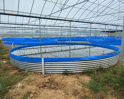 圆形镀锌板支架养殖水池刮布帆布鱼池高密度养殖池