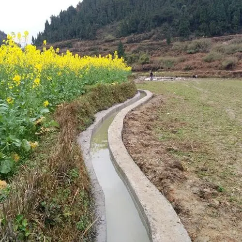 沙坪坝大型农田灌溉渠设计方案