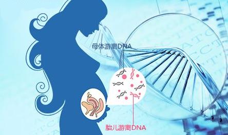百色怀孕了不知道孩子是谁的怀孕无创DNA鉴定