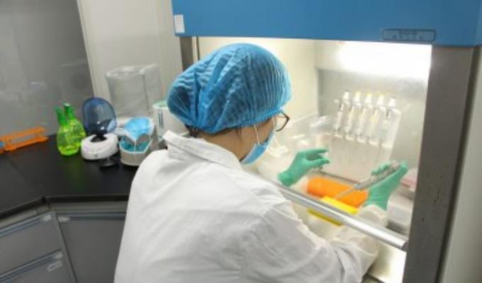 柳州市正规血型DNA鉴定检测具体地址
