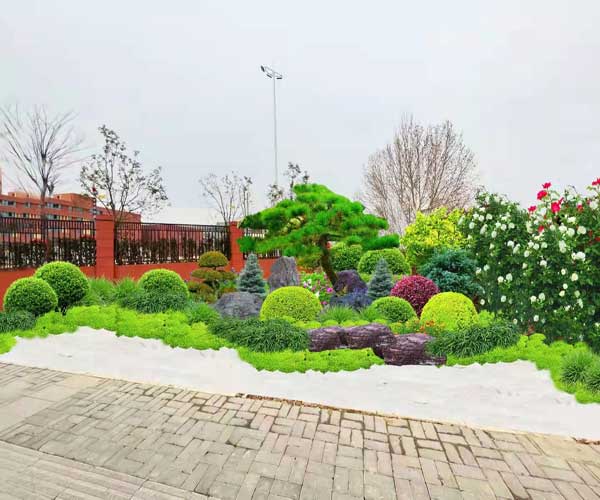 六安别墅庭院景观设计施工 绿派园林工程
