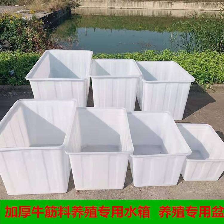 廠供1680*1330*730加厚大號塑料箱養殖箱養魚池染織容器