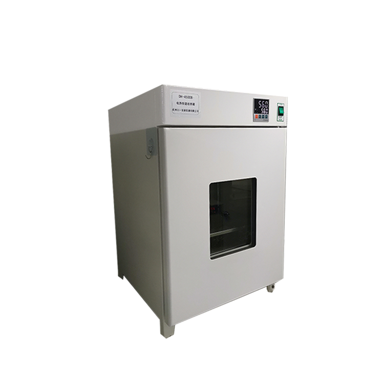 电热恒温培养箱DH5000BE微生物恒温培养装置150L