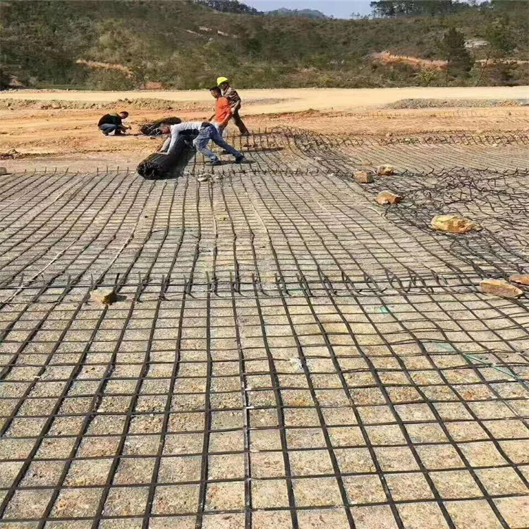 億路通供應鋼塑土工格柵 路基加固擋土墻格柵