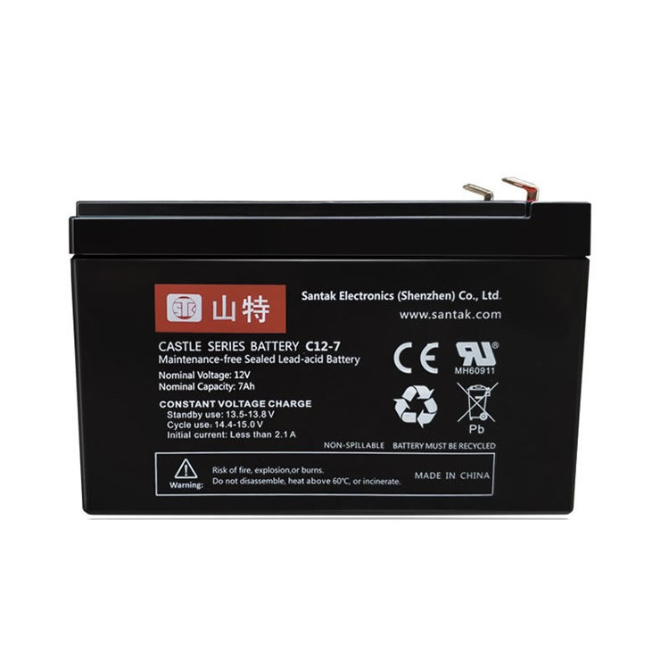 山特UPS蓄电池C12-100