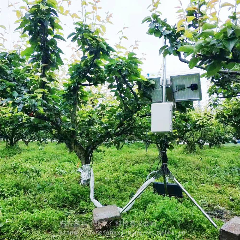 植物生理生態環境監測系統 在線實時監測 東方鑫鴻 DF-ZSH